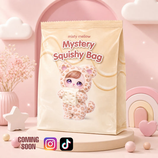 Mystery Squishy Bag